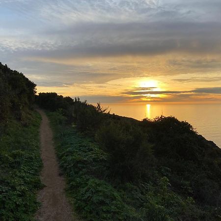Villa Montalbo Vue Mer De 2 A 10 Personnes Cargese Bagian luar foto