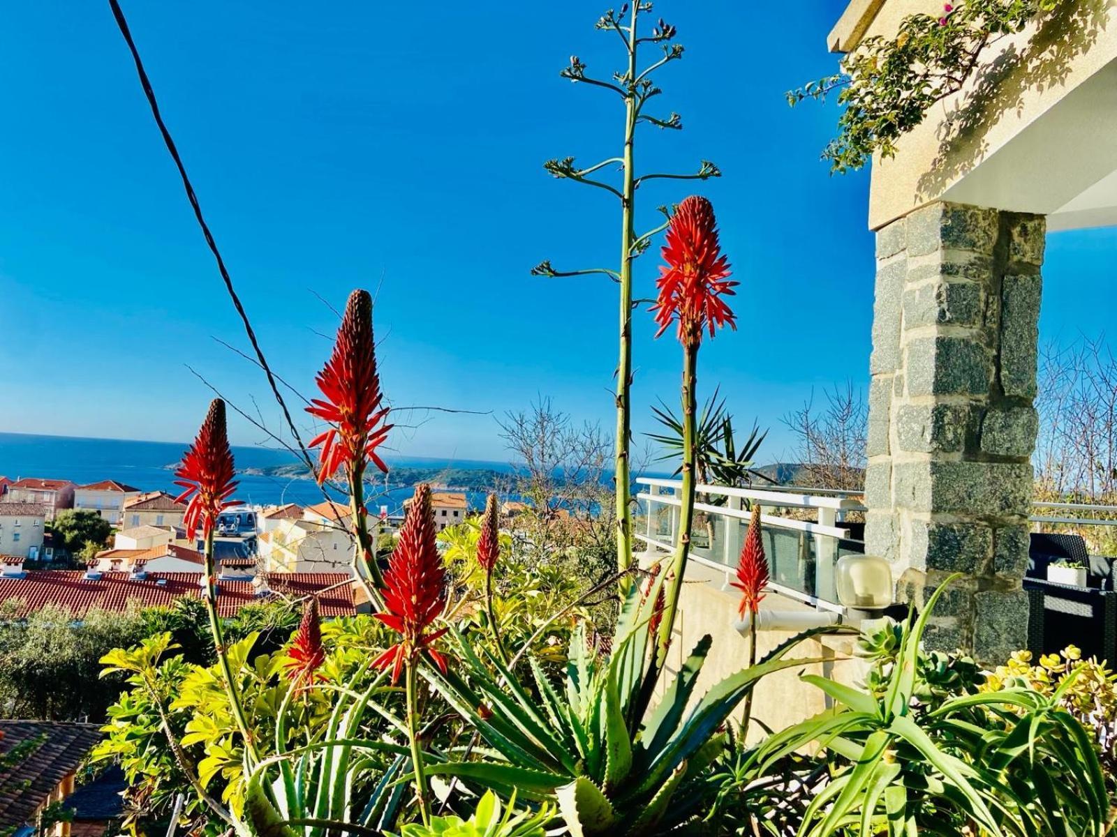 Villa Montalbo Vue Mer De 2 A 10 Personnes Cargese Bagian luar foto
